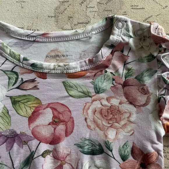 Posh Peanut Ruffle Bubble Romper Long Sleeve Floral Kids One Piece Size 2T - Picture 4 of 7